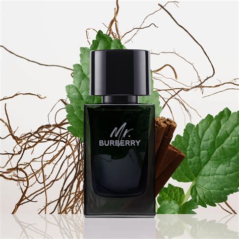 mr burberry recensioni|mr Burberry eau de parfum.